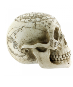 astrological skull astrologie totenkopf dekoartikel statue nemesis now